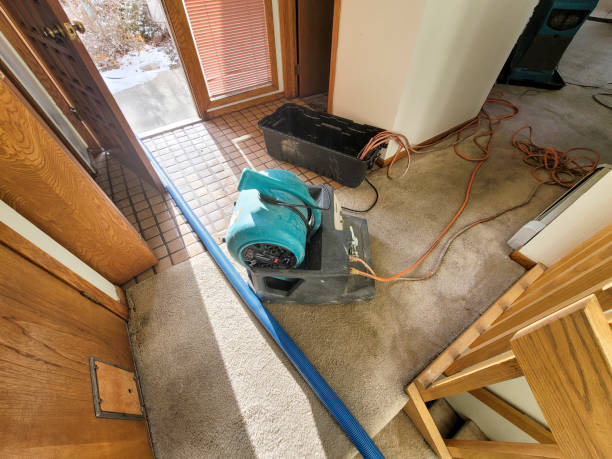 Water damage restoration insurance claims in OR